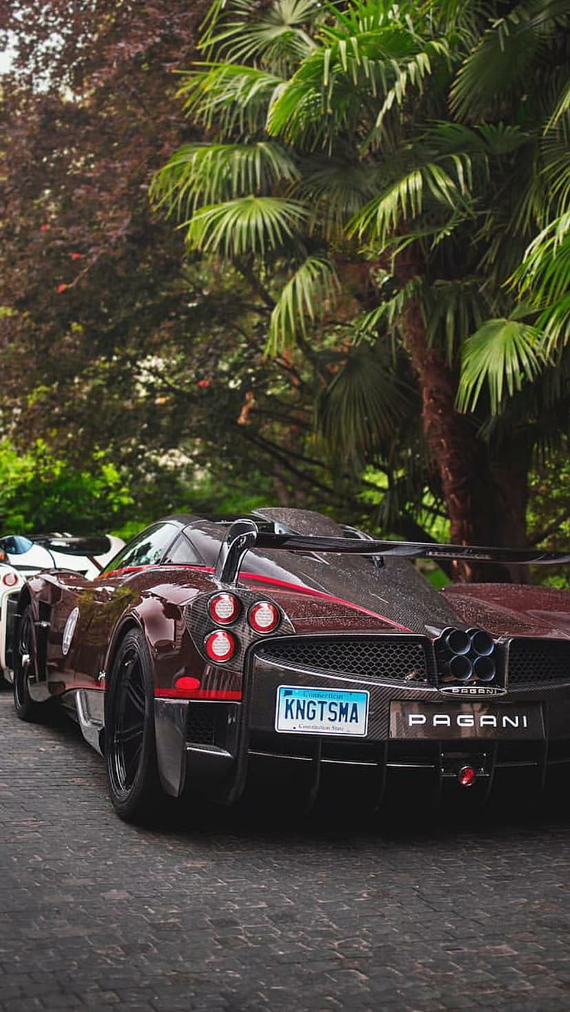 Dark red Pagani Huayra Roadster BC rear view with quad exhausts on a cobblestone path near palm trees.