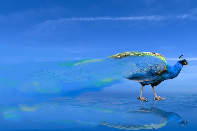 Peacock with a planet Earth body stands on reflective blue water under a clear sky with mist-like feathers.