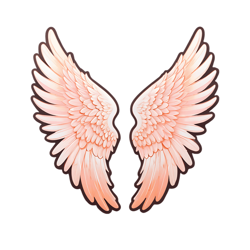 Pink angel wings spread symmetrically featuring soft coral feathers with subtle gradients on a black background.
