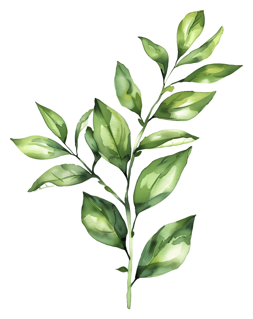 Green watercolor leaves showcase intricate vein patterns and soft paint textures on a transparent background.