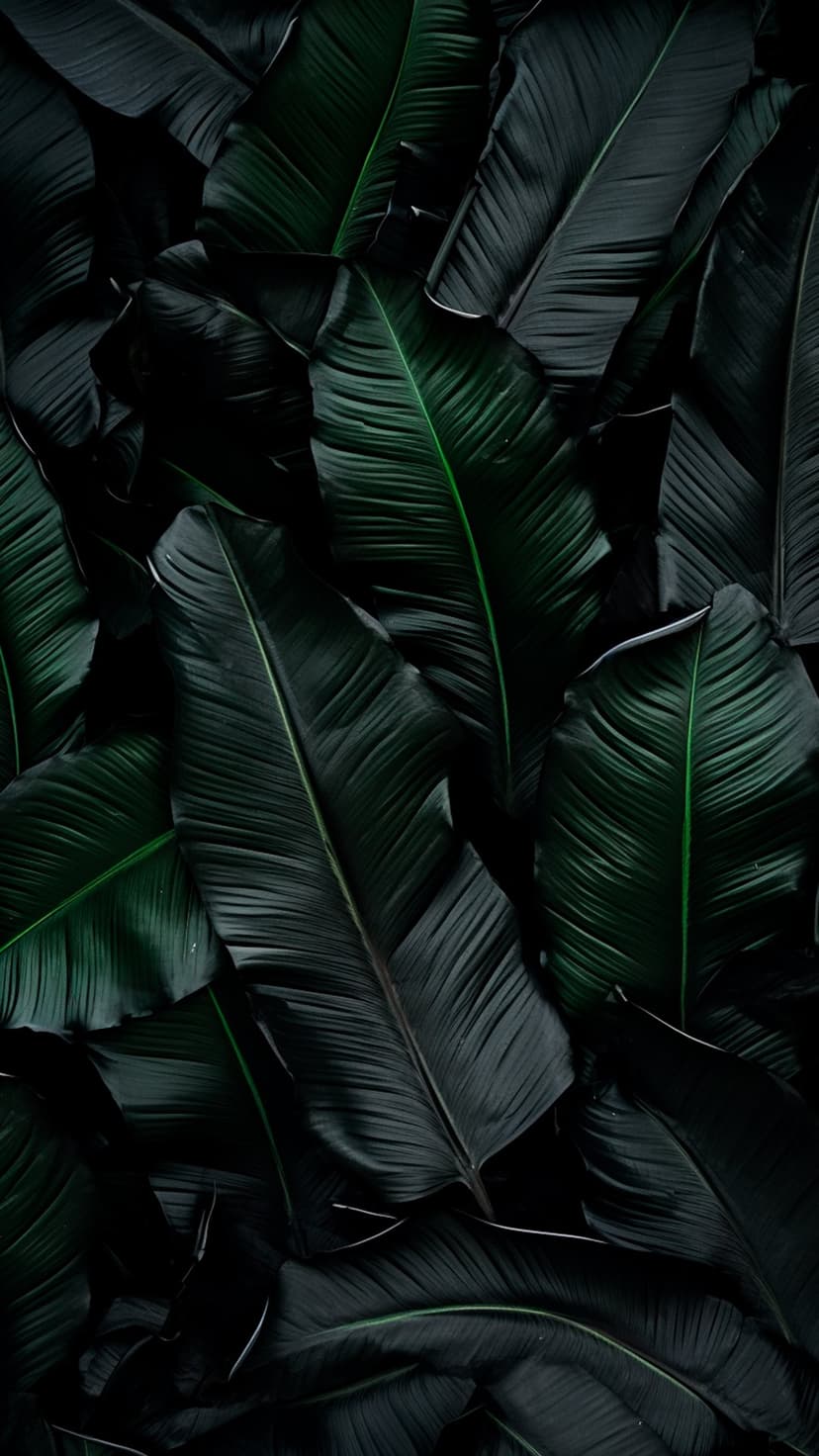 Banana leaves with prominent parallel veins overlap in a moody composition of deep green hues and dark shadows.