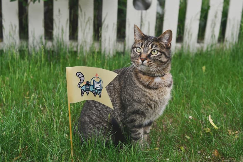 Tabby cat with green eyes sits in green grass beside a yellow flag featuring a cat in a spacesuit in a garden.