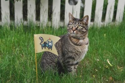 Whimsical Tabby Cat in Garden High-Res Phone Wallpaper