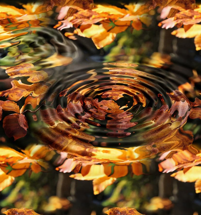 Orange autumn leaves reflect on dark rippling water surface with concentric circles in a vertical composition.