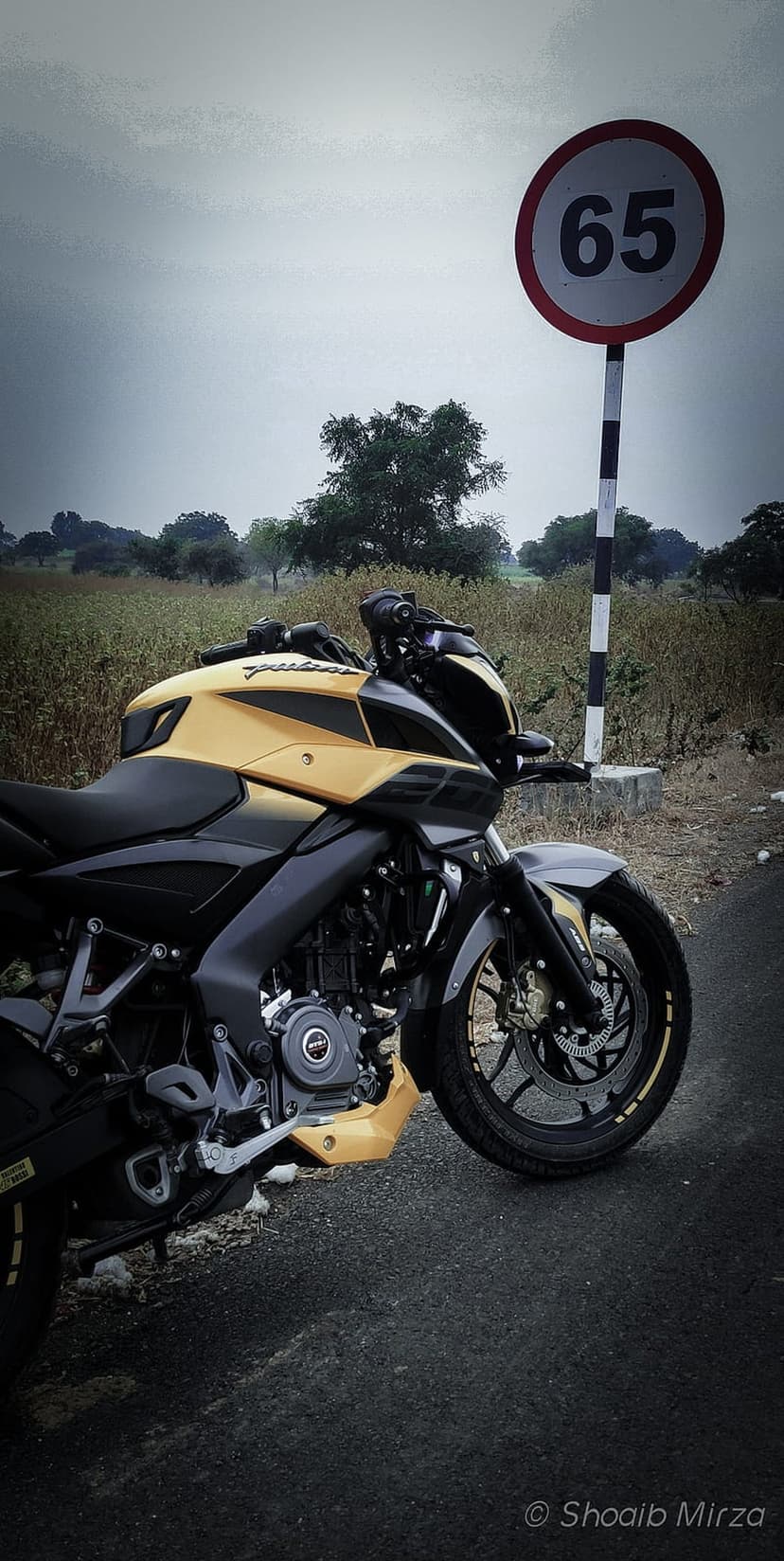 Gold and black motorcycle parked on an asphalt roadside under a circular 65 speed limit sign and grey clouds.