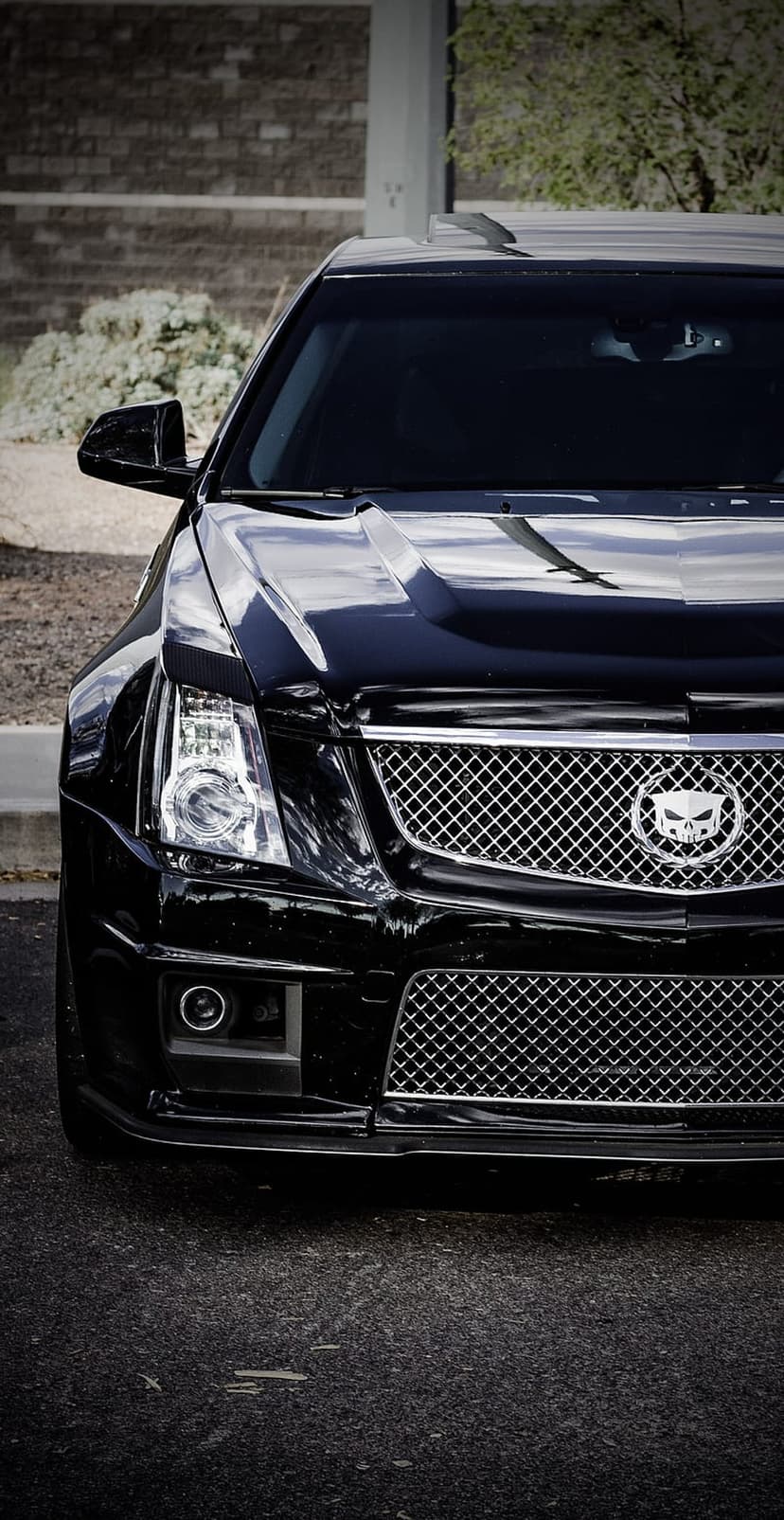 Black Cadillac CTS-V front grille featuring a silver skull badge and polished mesh on a dark car exterior.