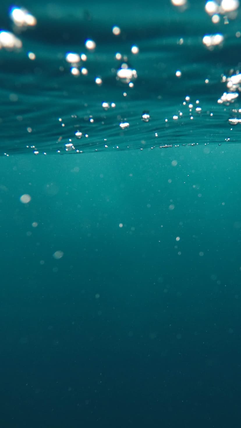 Air bubbles rise through teal ocean water toward a sunlit surface with light reflecting off the ripples.