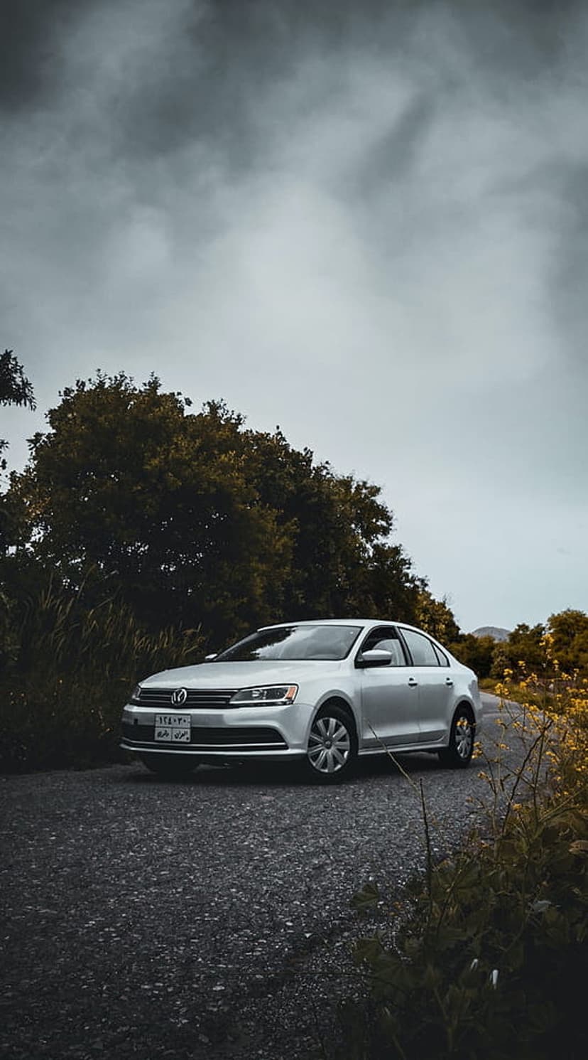 Silver Volkswagen Jetta sedan on a gravel road lined with yellow wildflowers under a dramatic overcast sky.