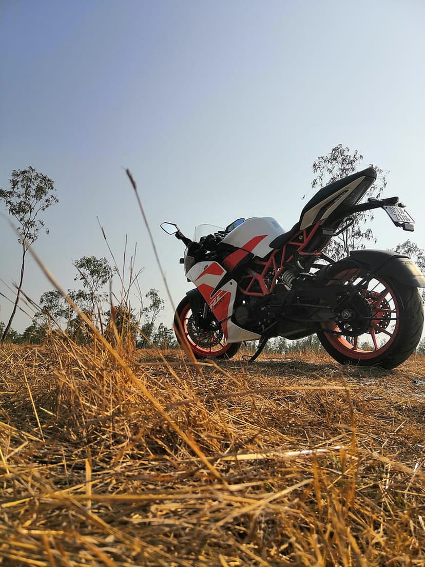 KTM RC sportbike parked in a dry grass field under a blue sky with bare trees visible in the background distance.