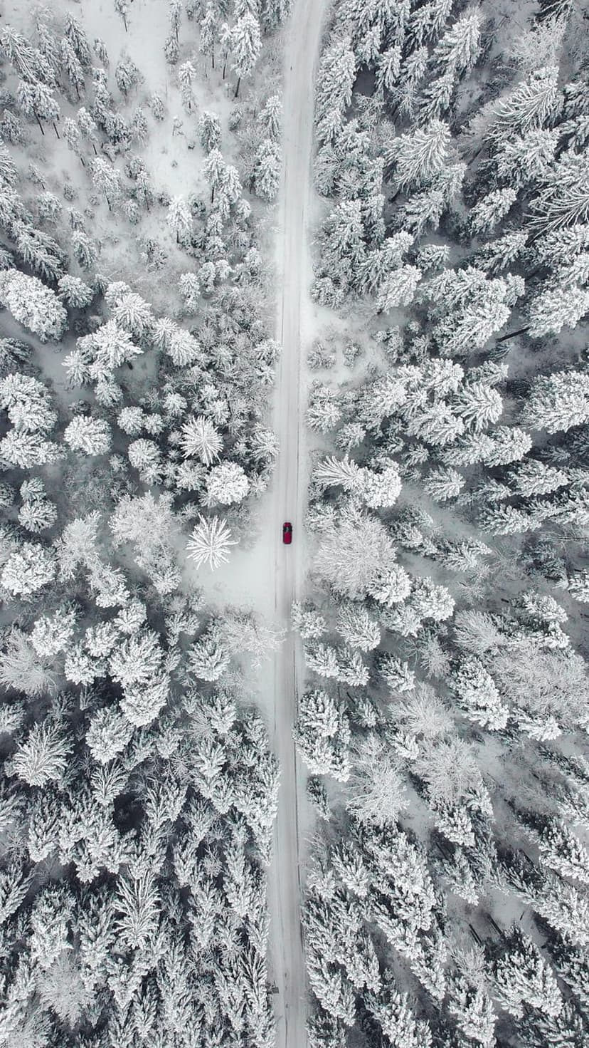 Red car travels a winding road through a dense forest of snow-covered pine trees from an aerial perspective.