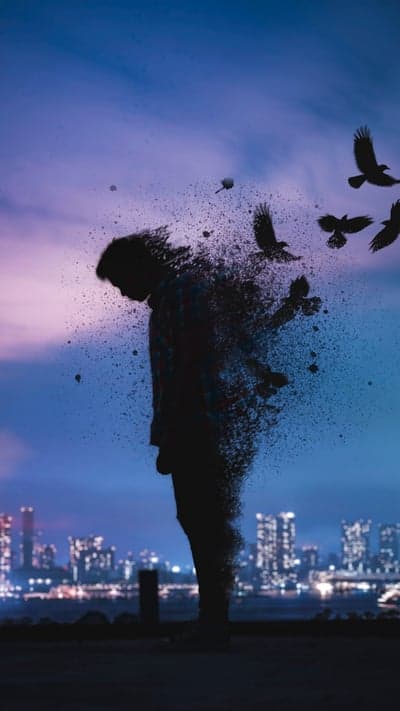 Man Dissolving into Birds Against City Sunset