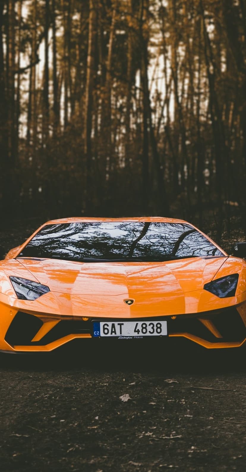 Orange Lamborghini Aventador sits on a forest road with dark trees and soft reflections on the windshield.