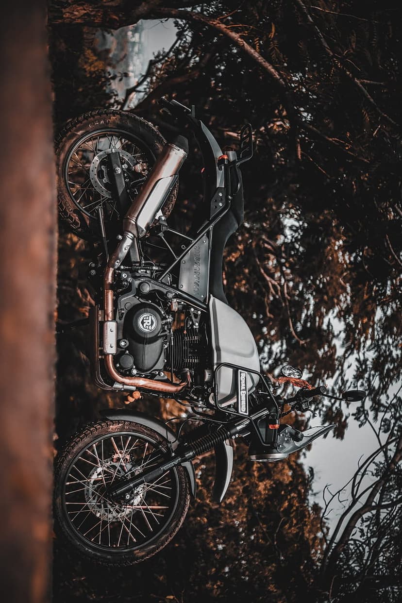 Royal Enfield Himalayan motorcycle with spoked wheels parked among dense dark trees and forest vegetation.