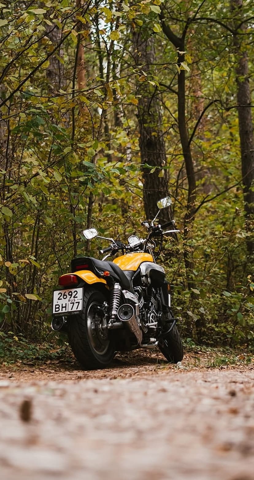 Yellow motorcycle rear view parked on a dirt trail through autumn trees with dappled sunlight on the ground.