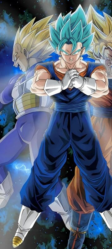 Dragon Ball Z: Vegito's Power Unleashed