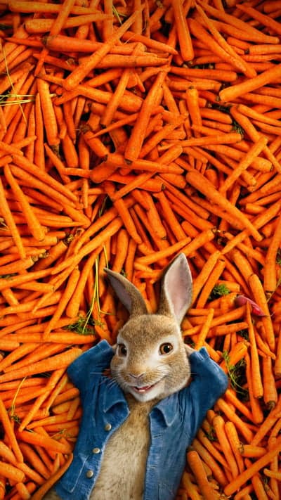 Peter Rabbit relaxing in a pile of fresh carrots