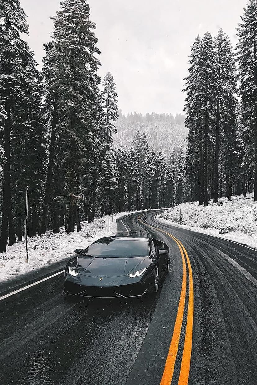 Black Lamborghini driving on a wet road lined with snow-covered pine trees and bright yellow dividing lines.