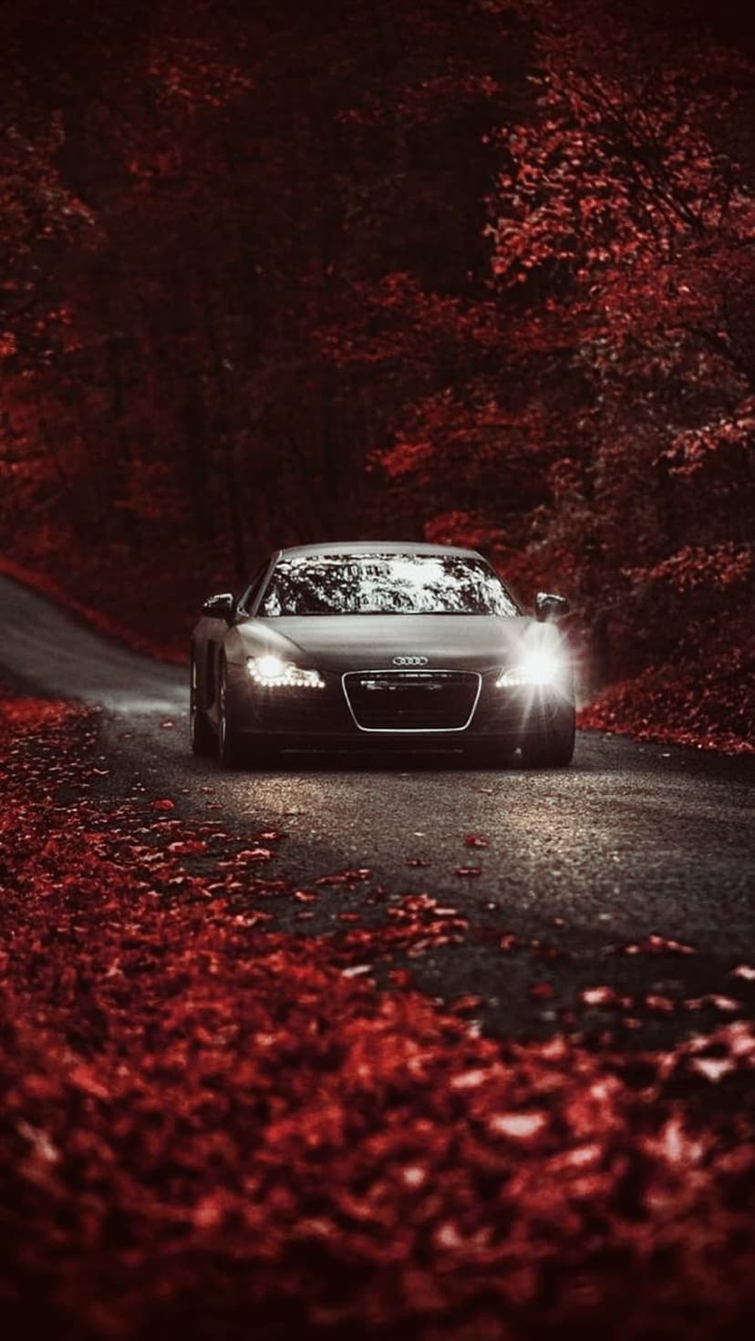 Audi R8 sports car with glowing headlights on a road scattered with red autumn leaves in a dark forest.