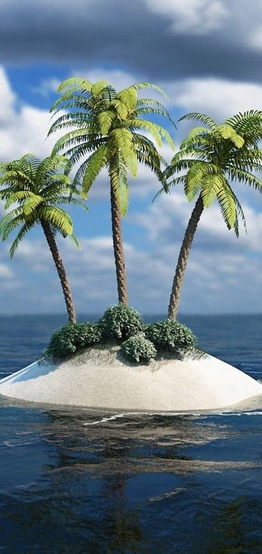 Solitary Paradise- A Trio of Palms on a Tiny Island