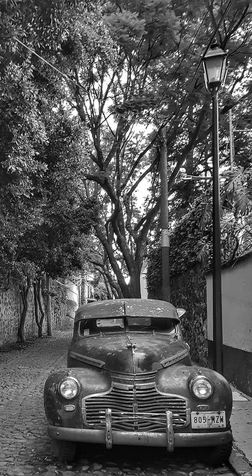 Vintage car parked on a cobblestone street under a tree canopy with a streetlamp in monochrome photography.
