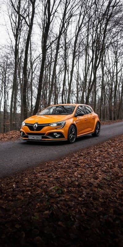 Orange Renault Megane RS on a forest road in autumn