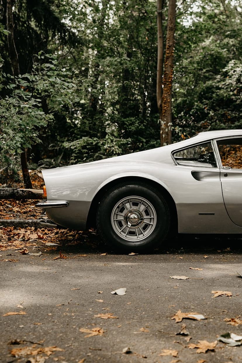 Silver vintage car rear fender parked on a road covered in yellow autumn leaves against a dense green forest background.