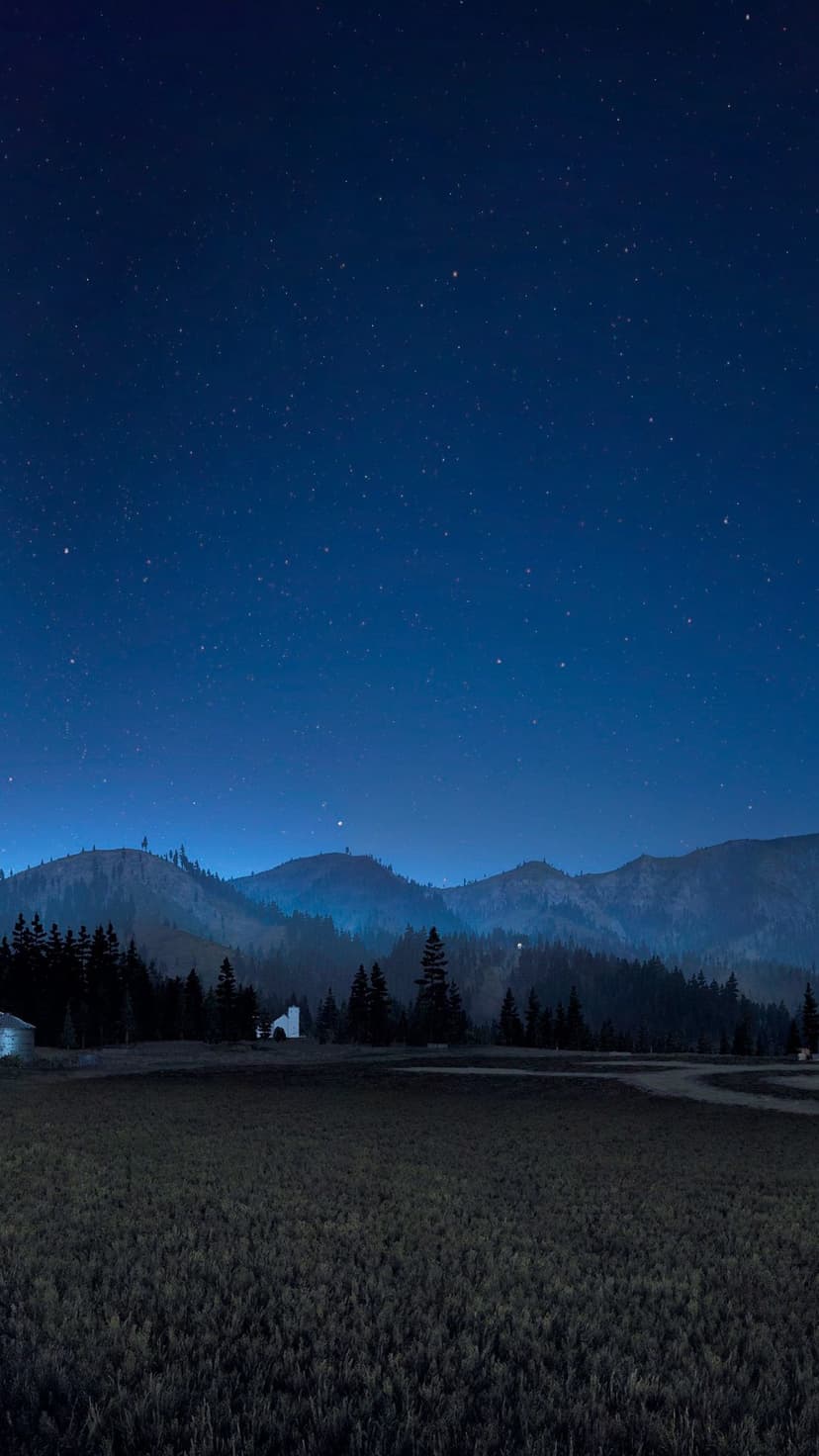 Shimmering stars fill a dark midnight sky over a silhouetted rural village, evergreen trees, and rolling hills.