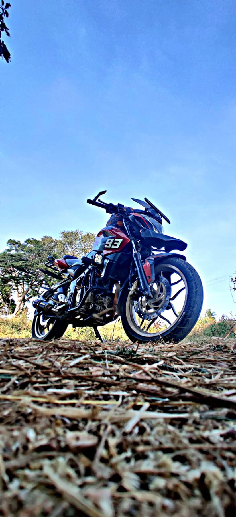 Red and black motorcycle with number 93 parked on dry foliage against a bright blue sky and distant trees.