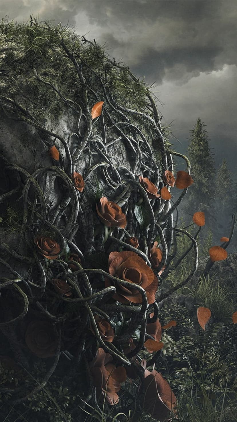 Red roses blooming among gnarled roots on a mossy rock under a gloomy, overcast sky in a misty forest setting.