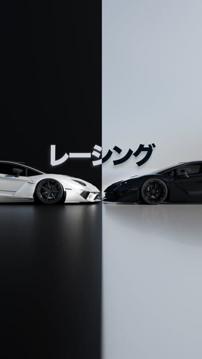 Racing Cars: Black and White Dynamic Duo