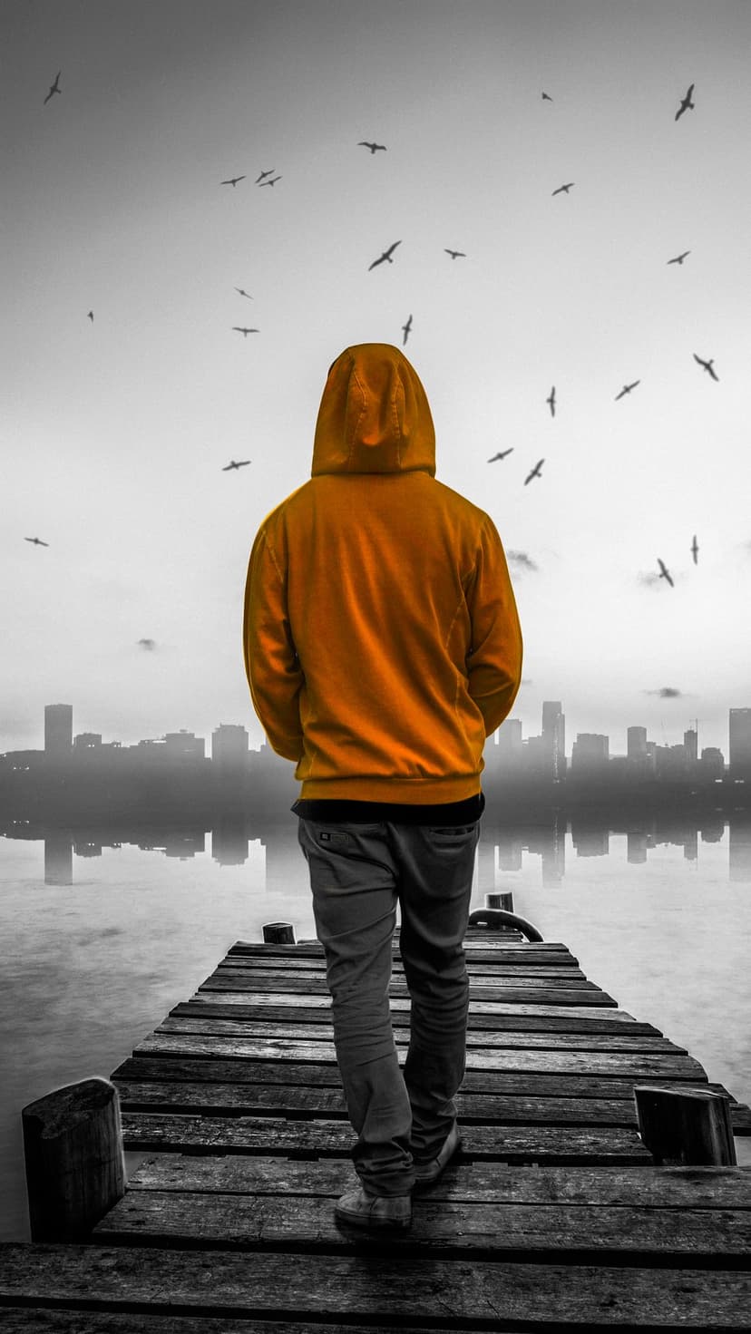 Man in an orange hoodie stands on a wooden dock looking at a distant city skyline with birds in a gray sky.