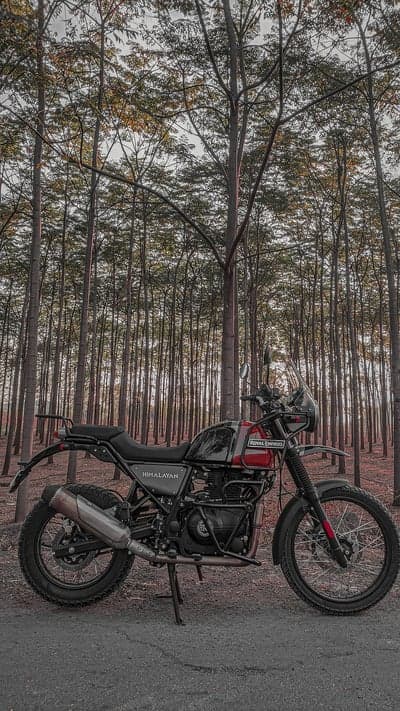 Royal Enfield Himalayan Motorcycle in a Forest Setting