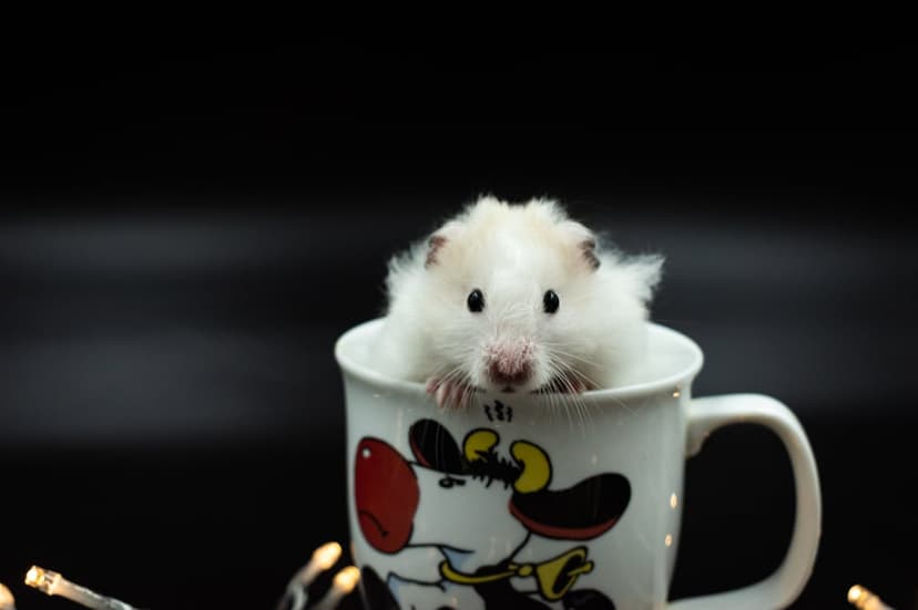 Fluffy white hamster peeking over the rim of a ceramic cow mug with warm golden bokeh in the dark background.