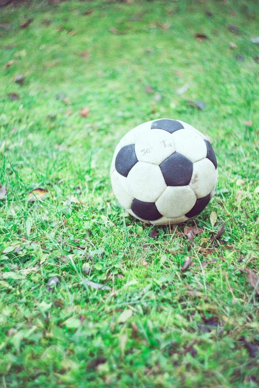Soccer ball resting on green grass with scattered brown leaves and a soft-focus park background in daylight.