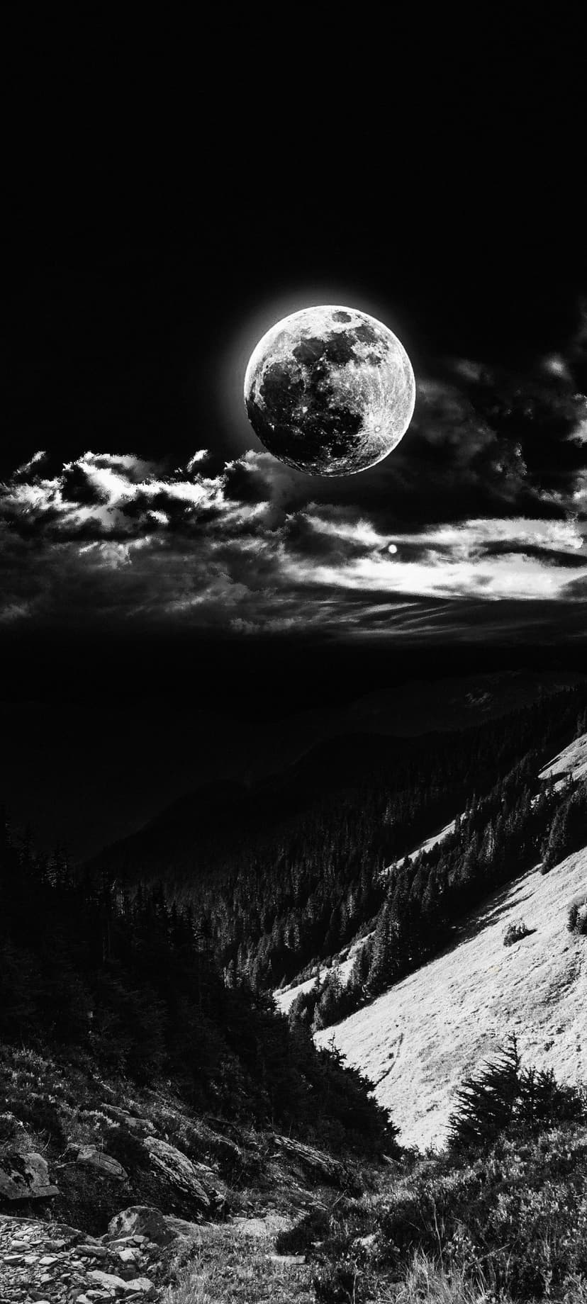 Luminous full moon glows above a steep mountain ridge covered in a dense coniferous forest under a cloudy sky.