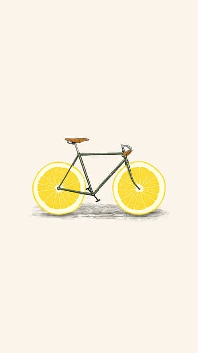 Lemon Slice Bicycle Art