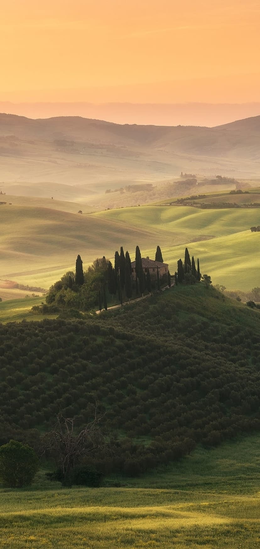 Rolling green hills of Val d'Orcia with a central farmhouse and cypress trees under a golden sunrise sky.