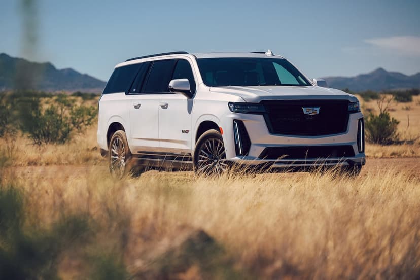 White luxury SUV parked in a field of tall golden grass with blue mountains and clear sky in the background.
