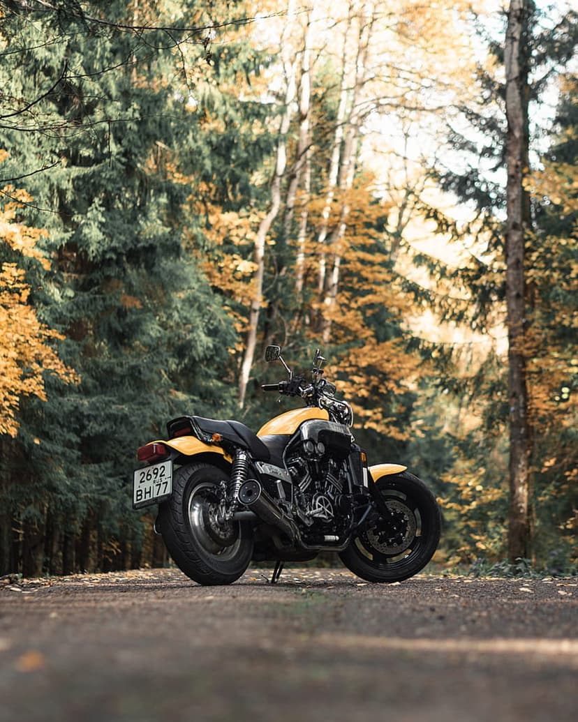 Yellow motorcycle on a dirt forest path surrounded by golden autumn trees and green pines in soft sunlight.