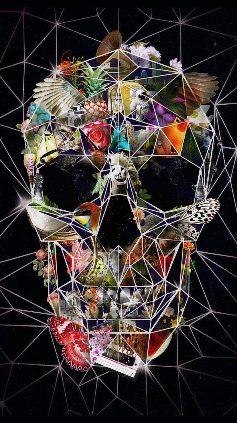 Human skull made of flowers, birds, and insects with white geometric lines over a dark starry background.