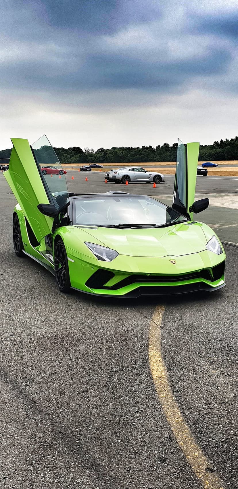 Lime green Lamborghini Aventador featuring open scissor doors on a race circuit under a dramatic grey sky.