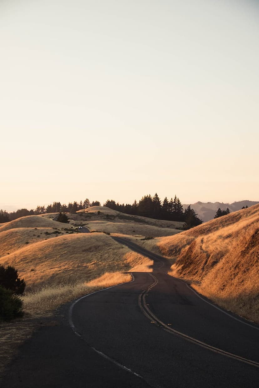 Winding asphalt road curves through sunlit golden hills under a pale sky with distant trees at sunset.