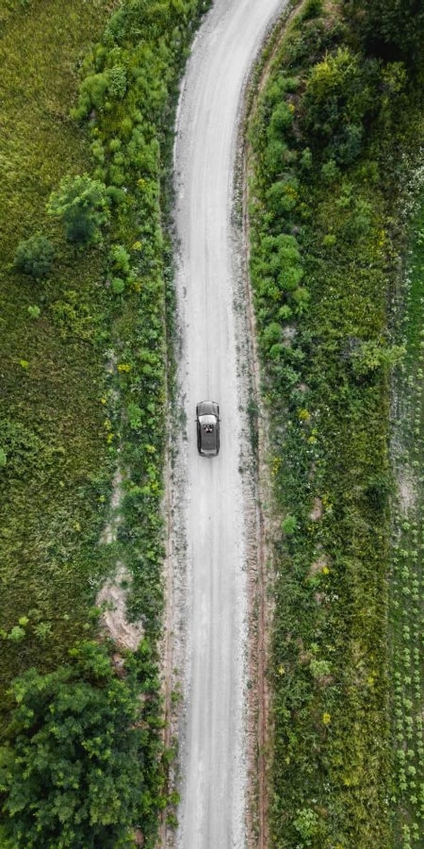Dark car driving on a serpentine gravel road surrounded by lush green forest and fields from a high drone angle.