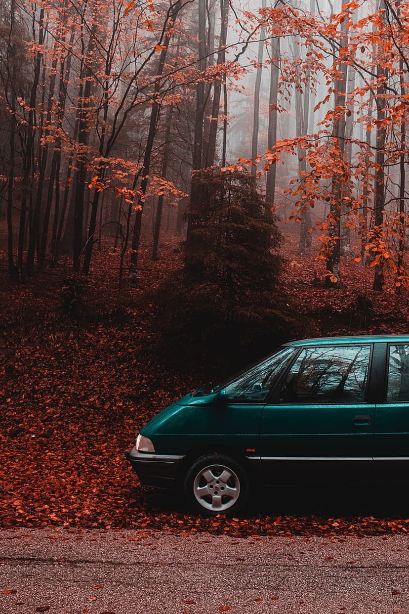 Green car parked on a road covered in red autumn leaves within a misty, dense forest with tall orange trees.