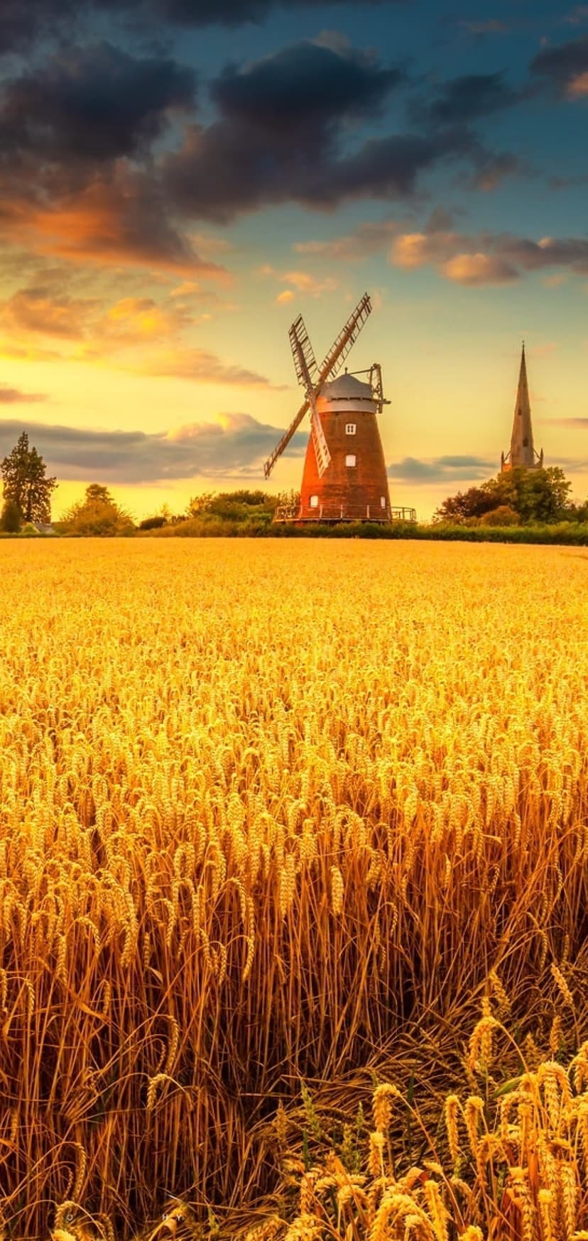 Traditional brick windmill in a golden wheat field under a vibrant sunset sky with a distant church spire.