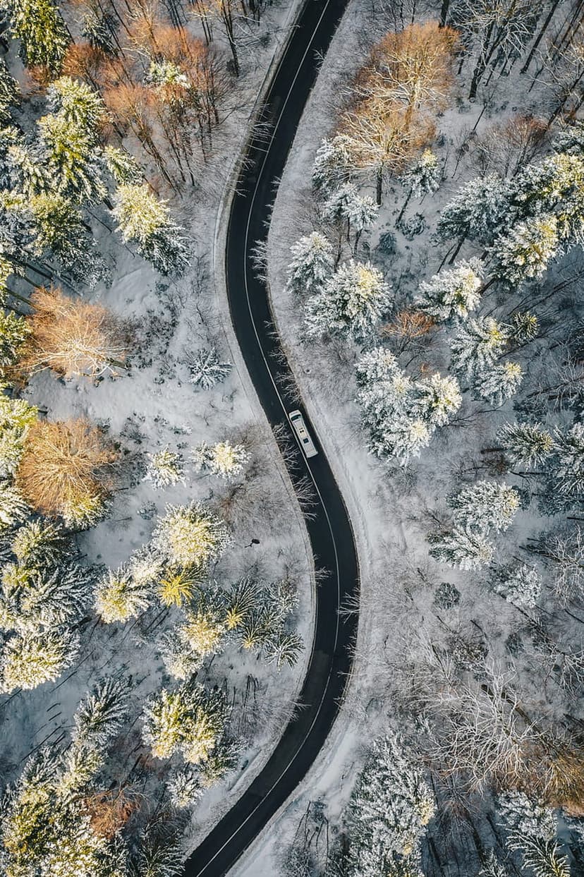 White bus driving on a dark winding road through a snow-covered pine forest seen from an aerial perspective.