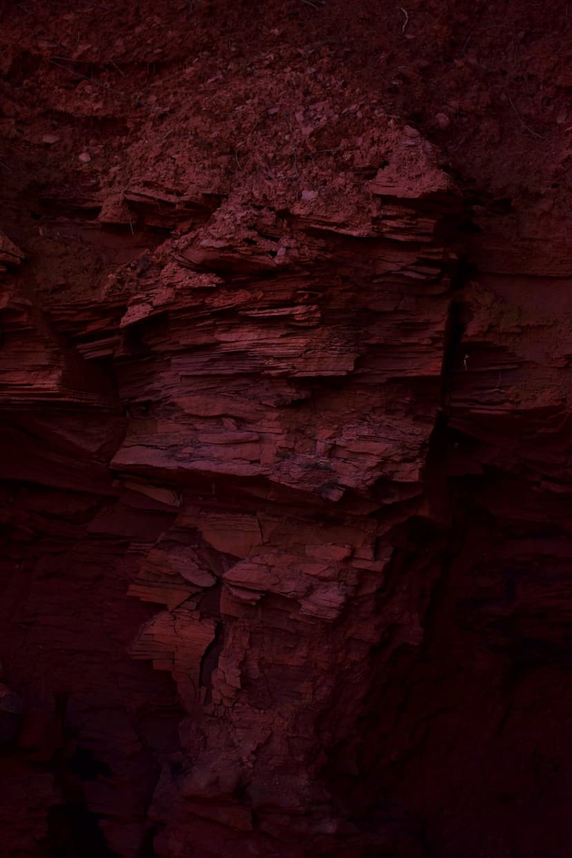 Horizontal layers of deep red and orange sedimentary rock reveal weathered textures and fine mineral veins.