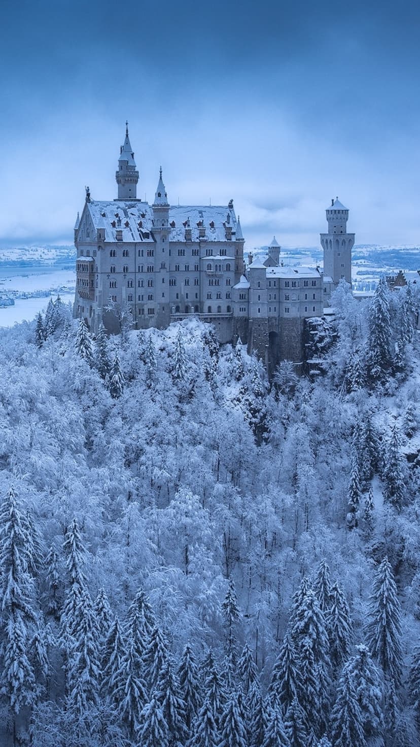 Neuschwanstein Castle towers rise over a snow-covered pine forest under a hazy, blue-toned winter sky.