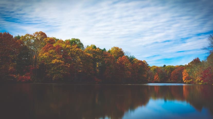 Autumn forest with vibrant red and orange foliage reflects in a calm lake under a blue sky with wispy clouds.