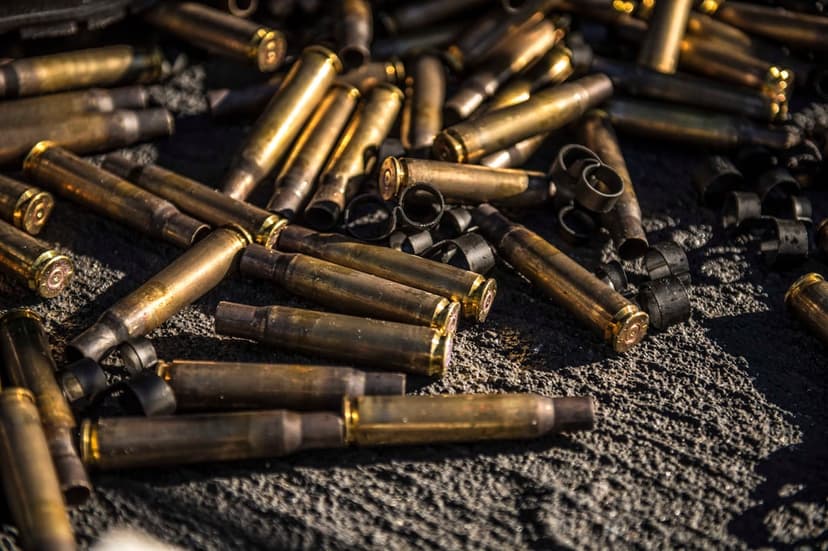 Brass bullet casings scattered over dark textured ground with sunlight reflecting off their worn metallic surfaces.